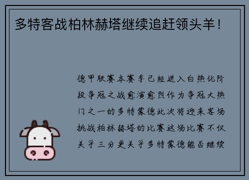 多特客战柏林赫塔继续追赶领头羊！